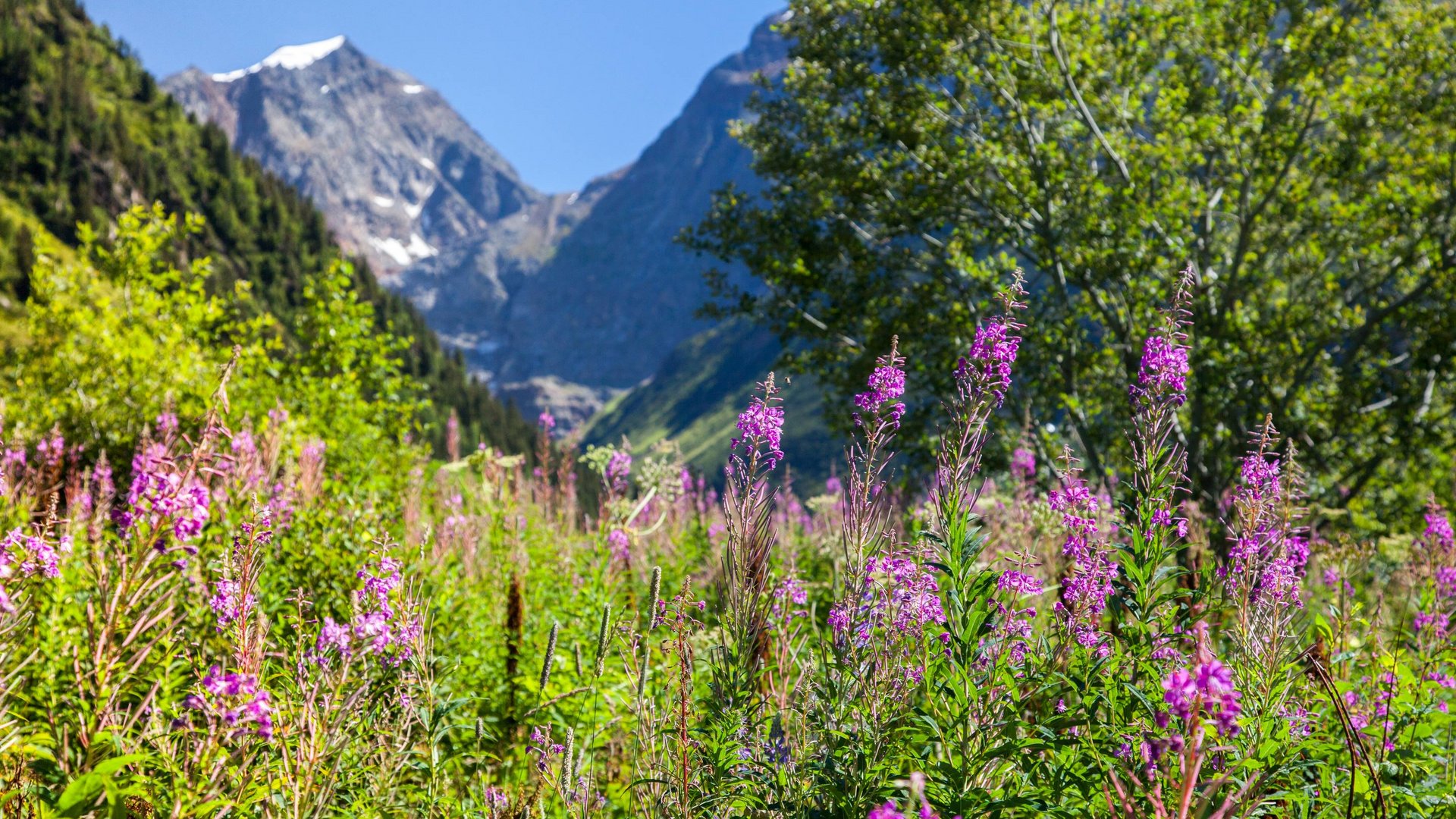 Pitztal? Mountainbike-Urlaub de luxe!