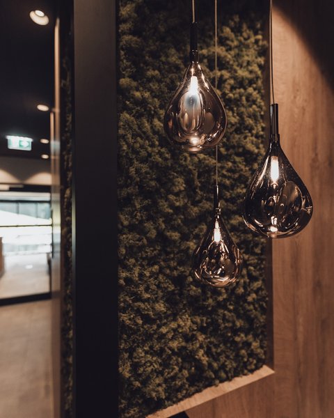 Pictures from Sportalm Modern teardrop pendant lights in hallway with moss-covered wall panel