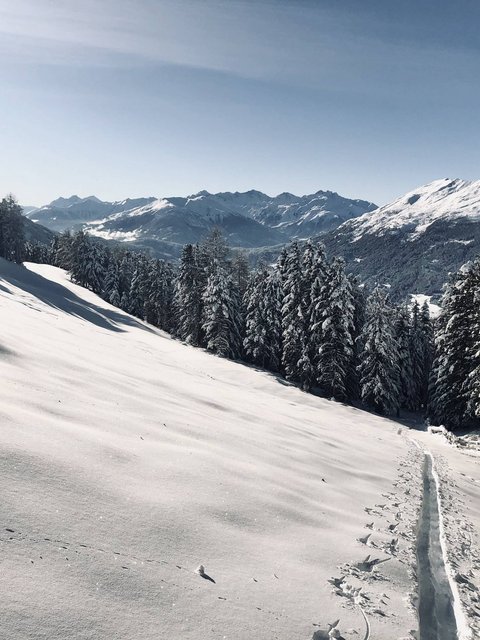 Pictures from Sportalm Snow-covered mountain landscape with forest and clear blue sky