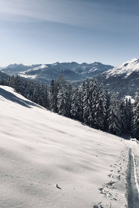 Bilder aus der Sportalm Verschneite Berglandschaft mit Wald und klar blauem Himmel