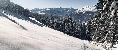 Pictures from Sportalm Snow-covered mountain landscape with forest and clear blue sky
