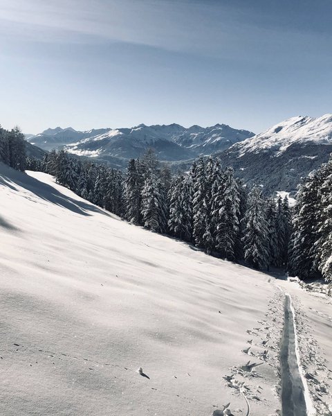 Bilder aus der Sportalm Verschneite Berglandschaft mit Wald und klar blauem Himmel