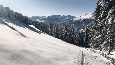 Pictures from Sportalm Snow-covered mountain landscape with forest and clear blue sky