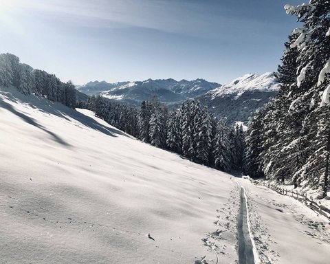 Pictures from Sportalm Snow-covered mountain landscape with forest and clear blue sky
