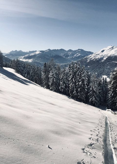 Pictures from Sportalm Snow-covered mountain landscape with forest and clear blue sky