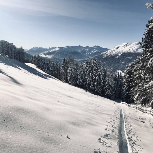 Mehr als nur Skifahren im Pitztal Verschneite Berglandschaft mit Wald und klar blauem Himmel