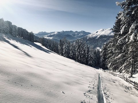 Bilder aus der Sportalm Verschneite Berglandschaft mit Wald und klar blauem Himmel