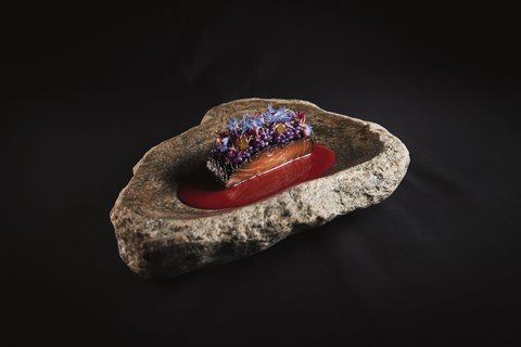 Pictures from Sportalm Gourmet salmon dish with red sauce and edible flowers on stone plate