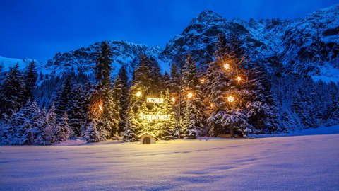 Pictures from Sportalm Illuminated Christmas trees in snow with mountain background at night