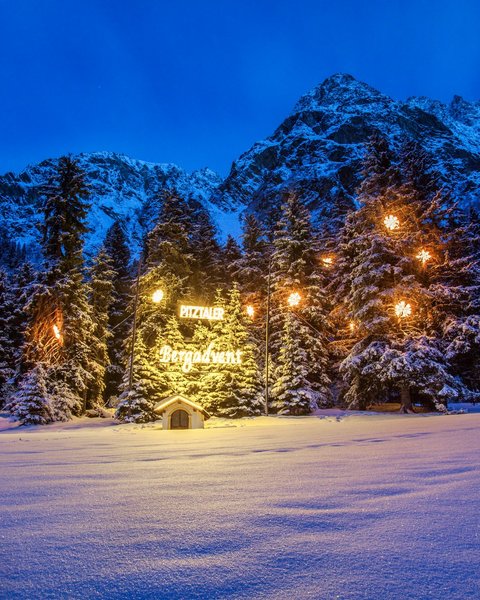 Bilder aus der Sportalm Beleuchtete Weihnachtsbäume im Schnee mit Bergkulisse bei Nacht