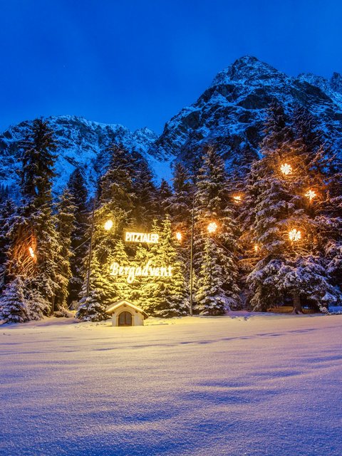 Pictures from Sportalm Illuminated Christmas trees in snow with mountain background at night