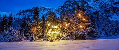 Pictures from Sportalm Illuminated Christmas trees in snow with mountain background at night