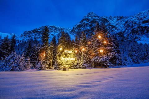 Bilder aus der Sportalm Beleuchtete Weihnachtsbäume im Schnee mit Bergkulisse bei Nacht