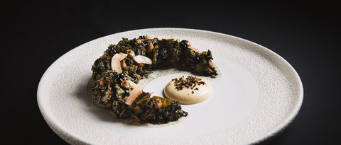 Pictures from Sportalm Artistic dish with green semicircle component and sauce on white textured plate