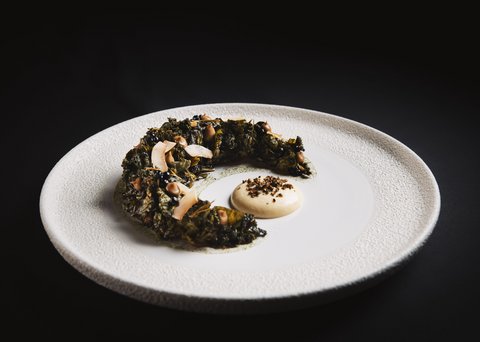 Pictures from Sportalm Artistic dish with green semicircle component and sauce on white textured plate