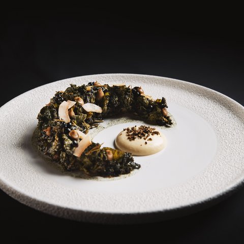 Pictures from Sportalm Artistic dish with green semicircle component and sauce on white textured plate