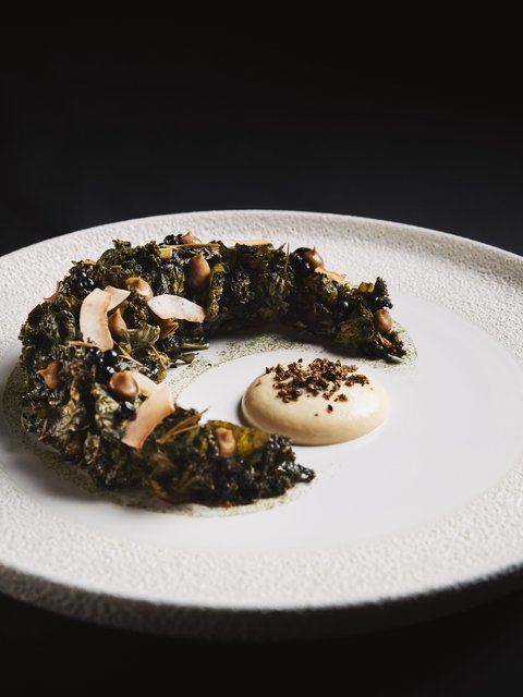 Pictures from Sportalm Artistic dish with green semicircle component and sauce on white textured plate