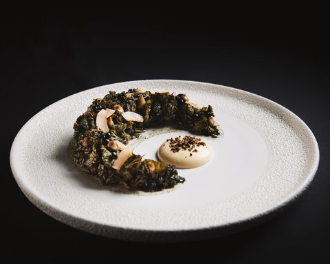 Pictures from Sportalm Artistic dish with green semicircle component and sauce on white textured plate