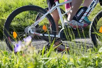 Personen mit Mountainbikes auf einem Schotterweg im Grünen