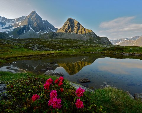 Bilder aus der Sportalm Alpen mit schneebedeckten Gipfeln und Blumen am Seeufer