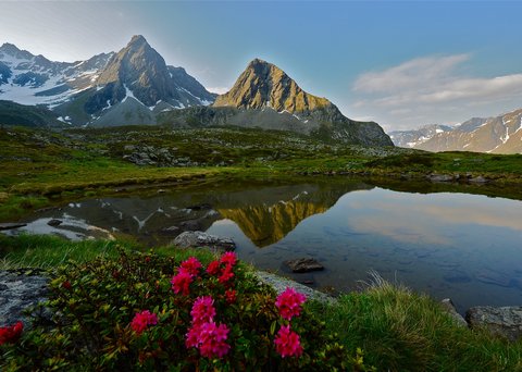 Bilder aus der Sportalm Alpen mit schneebedeckten Gipfeln und Blumen am Seeufer