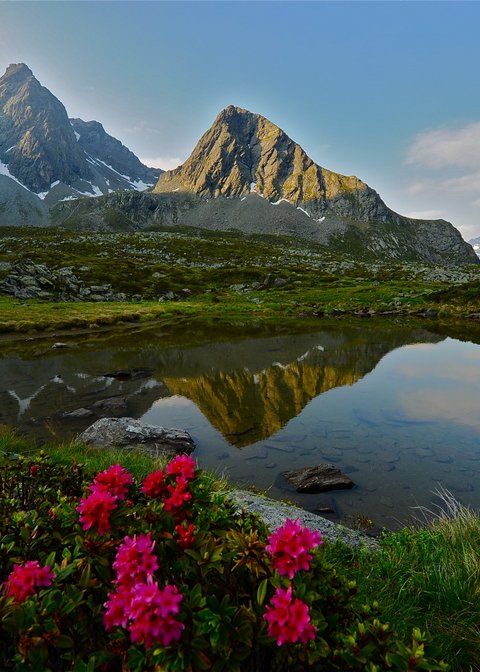 Bilder aus der Sportalm Alpen mit schneebedeckten Gipfeln und Blumen am Seeufer