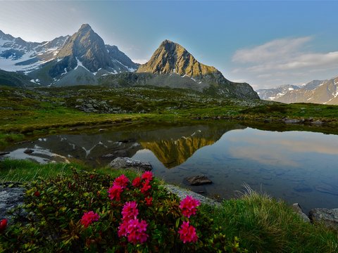 Bilder aus der Sportalm Alpen mit schneebedeckten Gipfeln und Blumen am Seeufer