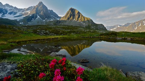 Pictures from Sportalm Alps with snowy peaks and flowers by a mountain lake