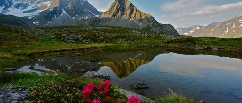 Pictures from Sportalm Alps with snowy peaks and flowers by a mountain lake
