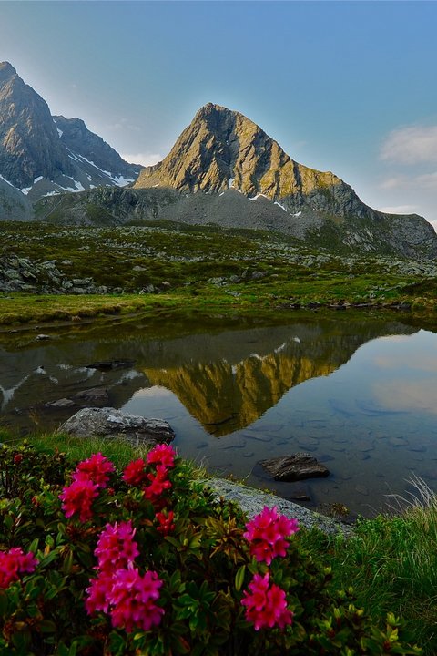 Pictures from Sportalm Alps with snowy peaks and flowers by a mountain lake