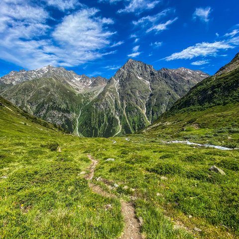 Pictures from Sportalm Hiking trail through green meadows towards tall mountains under blue sky