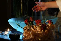 Hand sprinkling salt over a bowl of water with roses and candles in background
