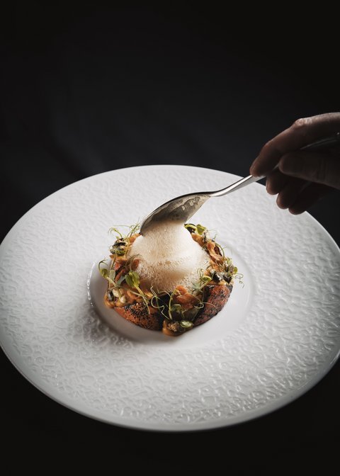 Pictures from Sportalm Fine dining dish with foam on white plate against black background