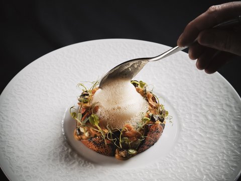 Pictures from Sportalm Fine dining dish with foam on white plate against black background