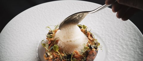 Pictures from Sportalm Fine dining dish with foam on white plate against black background