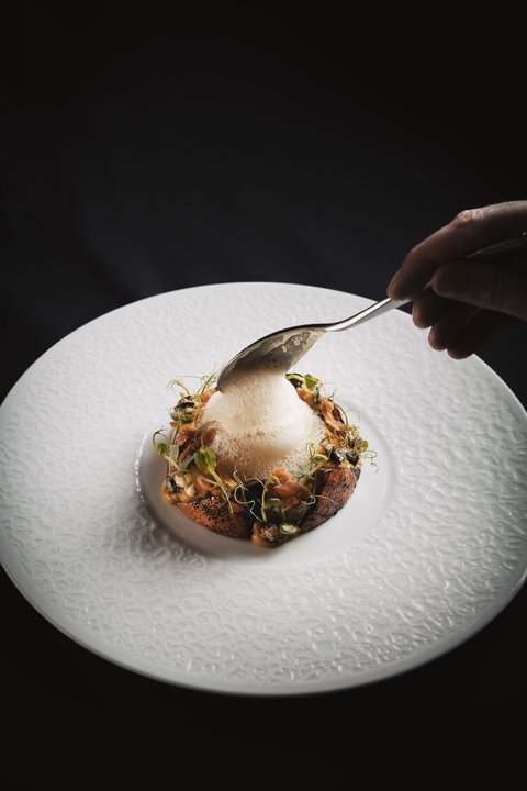 Bilder aus der Sportalm Fein angerichtetes Gericht mit Schaum auf weißem Teller vor schwarzem Hintergrund