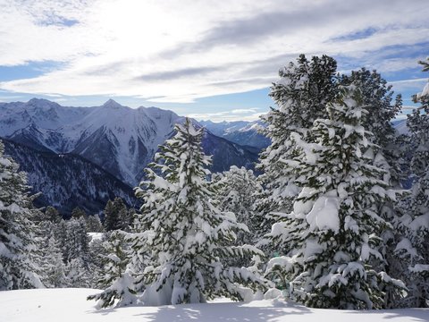 Bilder aus der Sportalm Verschneite Tannen vor Bergen unter bewölktem Himmel