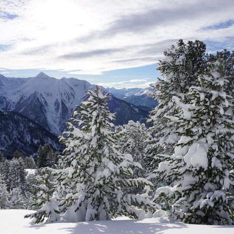 Pictures from Sportalm Snow-covered pine trees with mountains and cloudy sky background