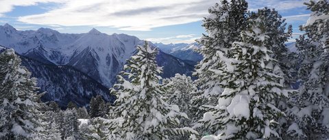 Pictures from Sportalm Snow-covered pine trees with mountains and cloudy sky background