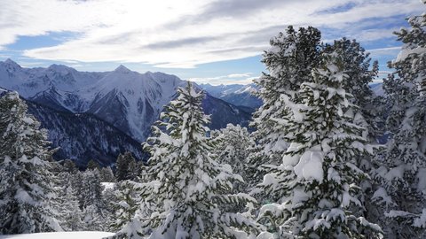 Pictures from Sportalm Snow-covered pine trees with mountains and cloudy sky background
