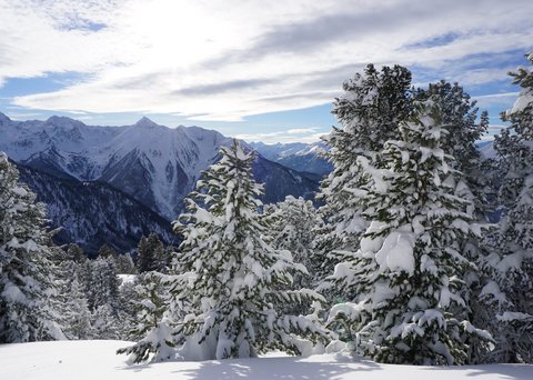 Bilder aus der Sportalm Verschneite Tannen vor Bergen unter bewölktem Himmel