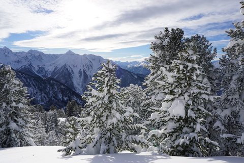 Pictures from Sportalm Snow-covered pine trees with mountains and cloudy sky background